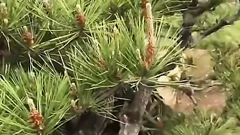 Une Fille Chinoise Qui Marche Dans Le Parc - Une Aventure En Solo