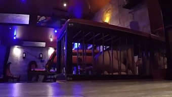 Femdom Mistress Dominerer Og Burer Sin Underdanige Partner I Bdsm-Scene