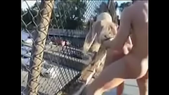 Sexe En Plein Air Avec Une Blonde Aux Gros Seins