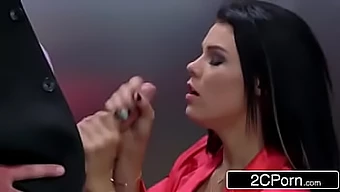 Η Peta Jensen Στο Zzs - Αισθησιακή Αποπλάνηση Και Έντονο Πάθος